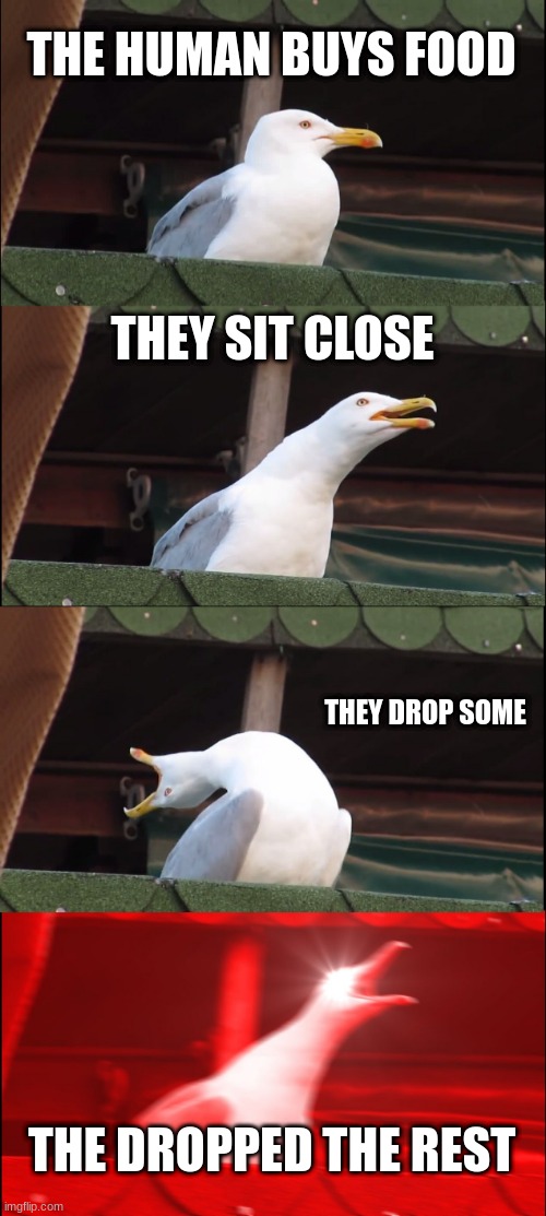 Inhaling Seagull Meme | THE HUMAN BUYS FOOD; THEY SIT CLOSE; THEY DROP SOME; THE DROPPED THE REST | image tagged in memes,inhaling seagull | made w/ Imgflip meme maker