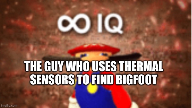 Infinite IQ | THE GUY WHO USES THERMAL SENSORS TO FIND BIGFOOT | image tagged in infinite iq | made w/ Imgflip meme maker