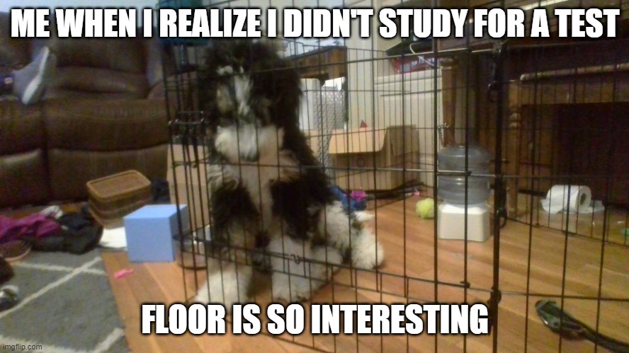 ME WHEN I REALIZE I DIDN'T STUDY FOR A TEST; FLOOR IS SO INTERESTING | made w/ Imgflip meme maker