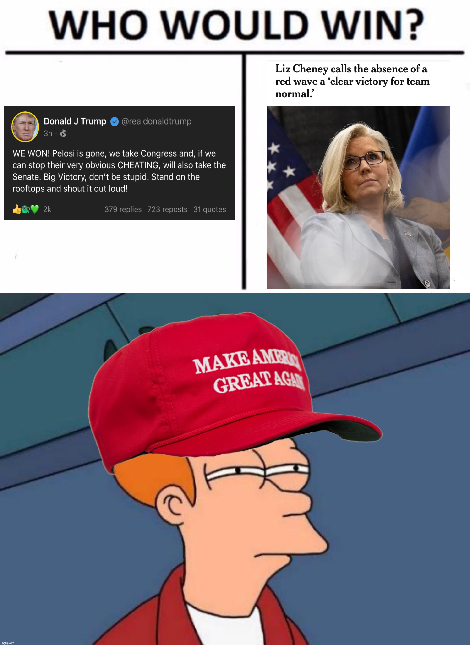 Not sure if tired of all this winning yet | image tagged in memes,who would win,maga futurama fry,2022,midterms,out-of-place futurama fry | made w/ Imgflip meme maker