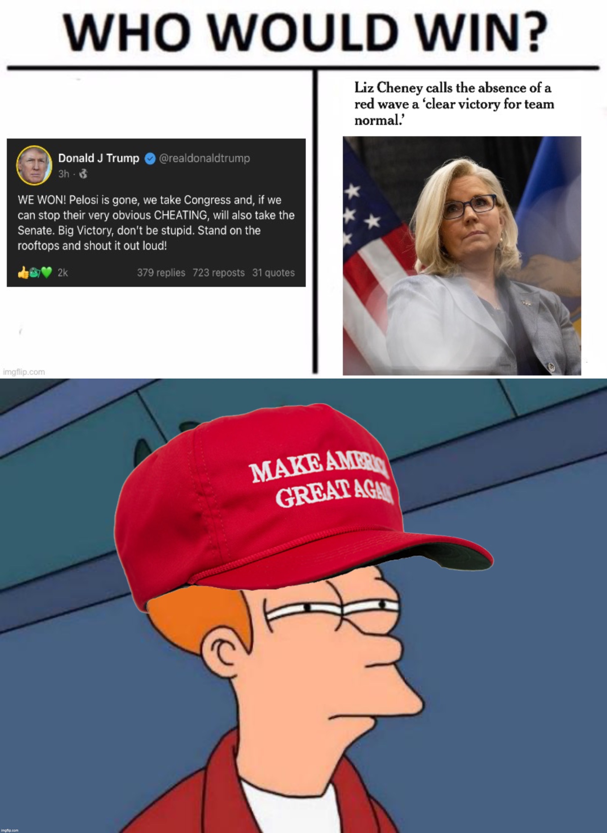 Not sure if Republicans will buy either storyline | image tagged in cheney vs trump 2022 midterms,maga futurama fry,republicans,gop,liz cheney,midterms | made w/ Imgflip meme maker