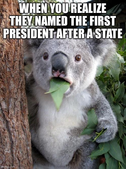 Washington | WHEN YOU REALIZE THEY NAMED THE FIRST PRESIDENT AFTER A STATE | image tagged in memes,surprised koala | made w/ Imgflip meme maker