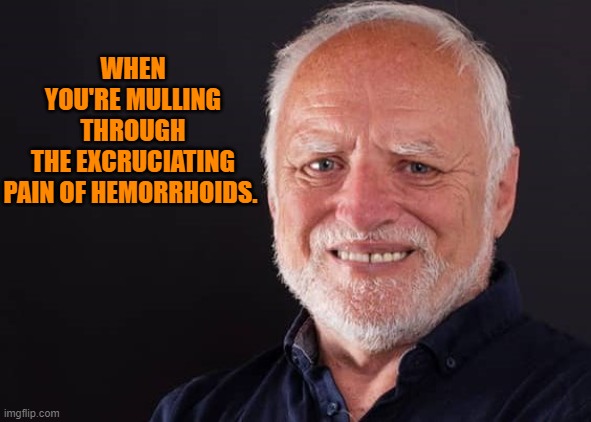 when you're Mulling through the excruciating pain of hemorrhoids. | WHEN YOU'RE MULLING THROUGH THE EXCRUCIATING PAIN OF HEMORRHOIDS. | image tagged in hemorrhoids,hide the pain harold | made w/ Imgflip meme maker