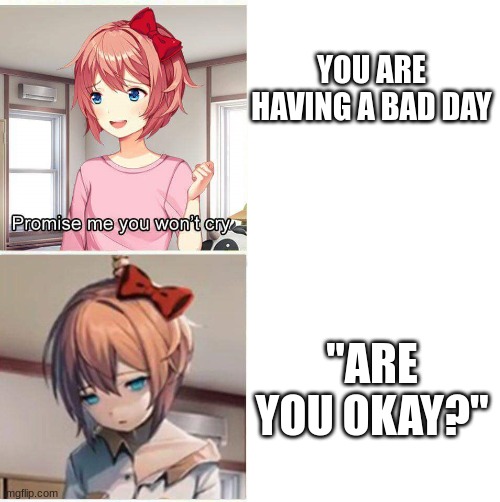 Promise you won't cry | YOU ARE HAVING A BAD DAY; "ARE YOU OKAY?" | image tagged in promise you won't cry | made w/ Imgflip meme maker