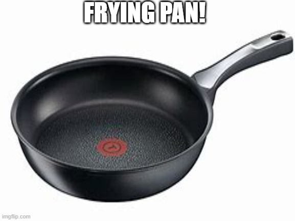 FRYING PAN! | FRYING PAN! | image tagged in frying pan | made w/ Imgflip meme maker