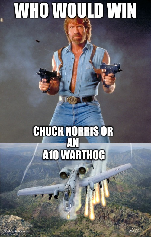 WHO WOULD WIN; CHUCK NORRIS OR 
AN 
A10 WARTHOG | image tagged in memes,chuck norris guns,a10 warthog | made w/ Imgflip meme maker