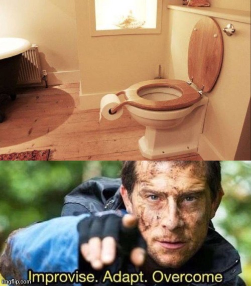 Toilet | image tagged in improvise adapt overcome,you had one job,toilet,toilet paper,memes,bathroom | made w/ Imgflip meme maker