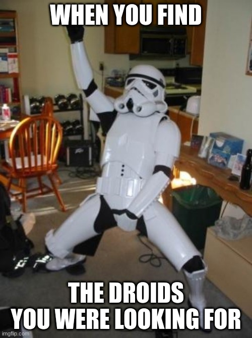 Star Wars Fan | WHEN YOU FIND; THE DROIDS YOU WERE LOOKING FOR | image tagged in star wars fan | made w/ Imgflip meme maker