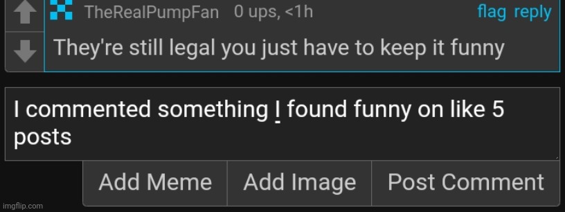 and then some snowflake ass mod decided it would be a wonderful idea to comment ban me | made w/ Imgflip meme maker