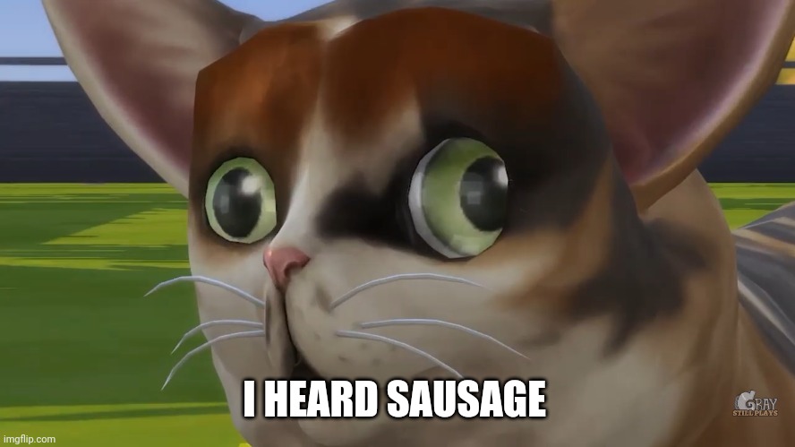 Spleens the cat | I HEARD SAUSAGE | image tagged in spleens the cat | made w/ Imgflip meme maker