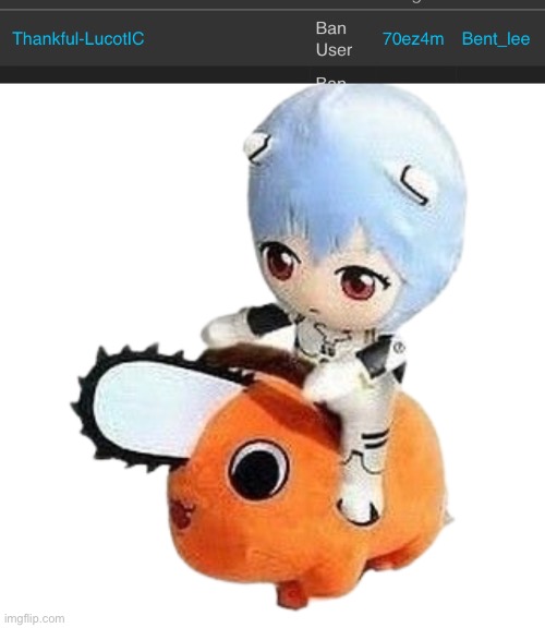 This is mod abuse | image tagged in rei on pochita | made w/ Imgflip meme maker