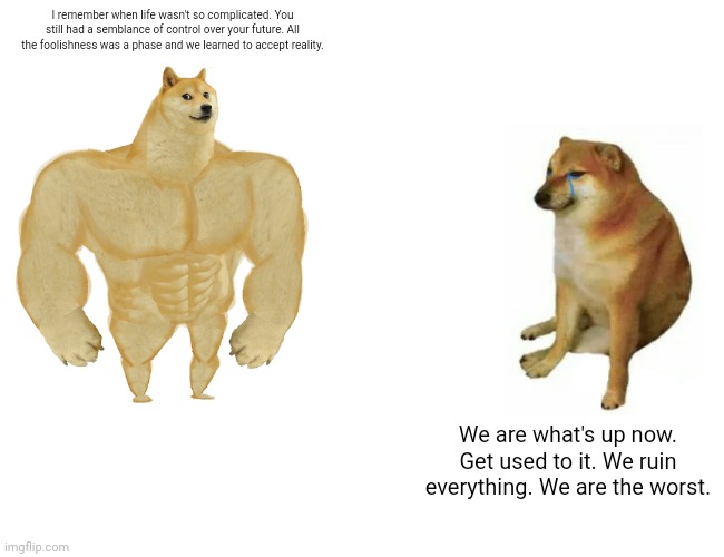 Todys kids | I remember when life wasn't so complicated. You still had a semblance of control over your future. All the foolishness was a phase and we learned to accept reality. We are what's up now. Get used to it. We ruin everything. We are the worst. | image tagged in memes,buff doge vs cheems | made w/ Imgflip meme maker