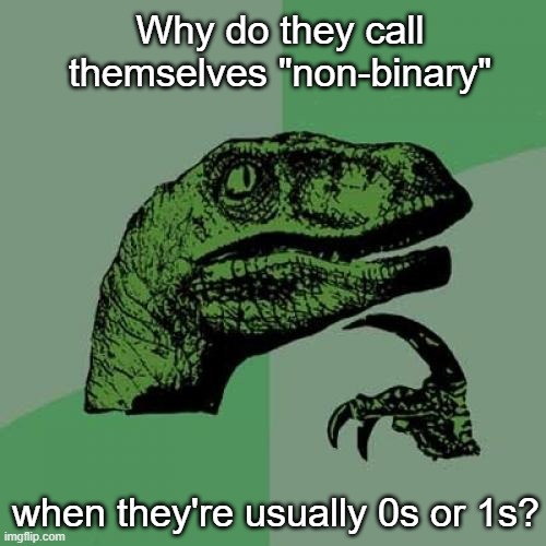 Beauty is only skin deep.  And sometimes not even then. | Why do they call themselves "non-binary"; when they're usually 0s or 1s? | image tagged in memes,philosoraptor | made w/ Imgflip meme maker