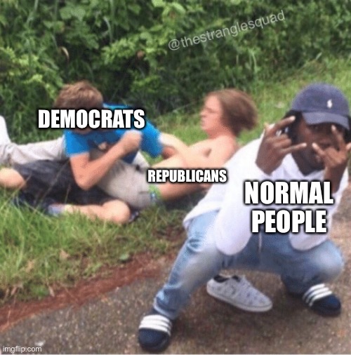 Two guys fighting | DEMOCRATS; REPUBLICANS; NORMAL PEOPLE | image tagged in two guys fighting | made w/ Imgflip meme maker