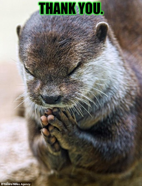 Thank you Lord Otter | THANK YOU. | image tagged in thank you lord otter | made w/ Imgflip meme maker