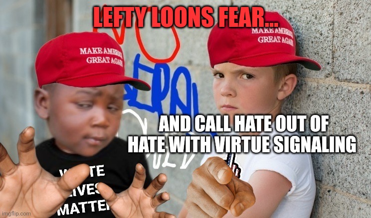 LEFTY LOONS FEAR... AND CALL HATE OUT OF HATE WITH VIRTUE SIGNALING | made w/ Imgflip meme maker