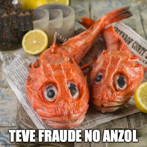 Fraude bolsonarista | TEVE FRAUDE NO ANZOL | image tagged in bolsonaro,fraude,bolsonarismo,brasil | made w/ Imgflip meme maker
