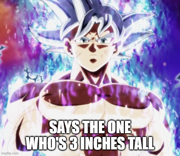 Mastered ultra instinct goku | SAYS THE ONE WHO'S 3 INCHES TALL | image tagged in mastered ultra instinct goku | made w/ Imgflip meme maker
