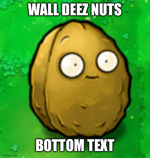 Wall-Nut | WALL DEEZ NUTS; BOTTOM TEXT | image tagged in wall-nut | made w/ Imgflip meme maker