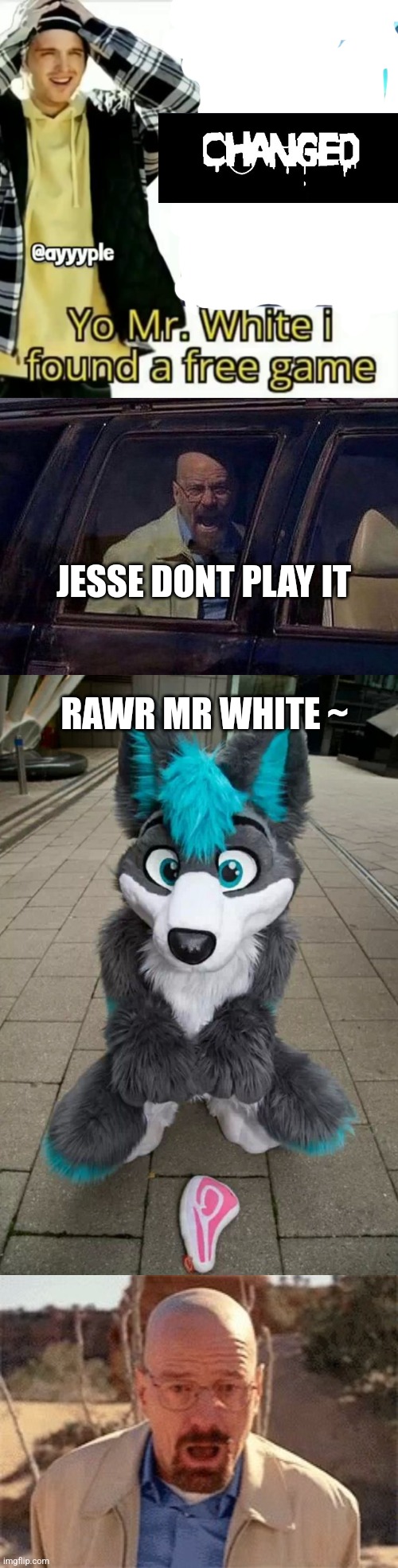 JESSE DONT PLAY IT; RAWR MR WHITE ~ | image tagged in yo mr white i found a free game,walter white screaming at hank,furry,walter white | made w/ Imgflip meme maker