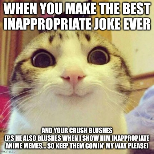 My crush blushes alot | WHEN YOU MAKE THE BEST INAPPROPRIATE JOKE EVER; AND YOUR CRUSH BLUSHES
(P.S HE ALSO BLUSHES WHEN I SHOW HIM INAPPROPIATE ANIME MEMES... SO KEEP THEM COMIN' MY WAY PLEASE) | image tagged in memes,smiling cat | made w/ Imgflip meme maker