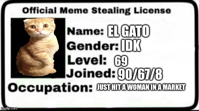 Meme Stealing License | EL GATO; IDK; 69; 90/67/8; JUST HIT A WOMAN IN A MARKET | image tagged in meme stealing license | made w/ Imgflip meme maker