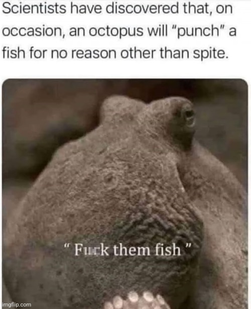 image tagged in funny memes | made w/ Imgflip meme maker