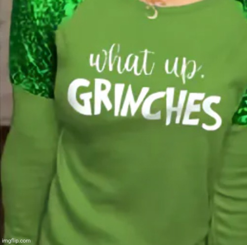 image tagged in funny memes | made w/ Imgflip meme maker