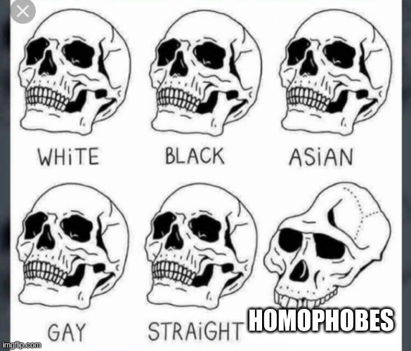 i'm sick of homophobes! | HOMOPHOBES | image tagged in white black asian gay straight skull template | made w/ Imgflip meme maker