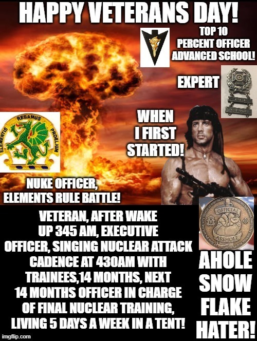 Veteran/Asshole/Snowflake Hater |  AHOLE SNOW FLAKE HATER! | image tagged in snowflakes,veterans day,asshole | made w/ Imgflip meme maker