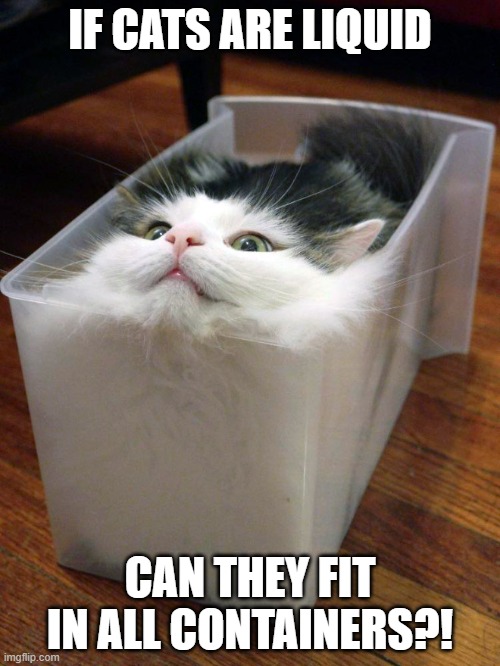 cats are liquid | IF CATS ARE LIQUID; CAN THEY FIT IN ALL CONTAINERS?! | image tagged in liquid cat,cats,memes | made w/ Imgflip meme maker