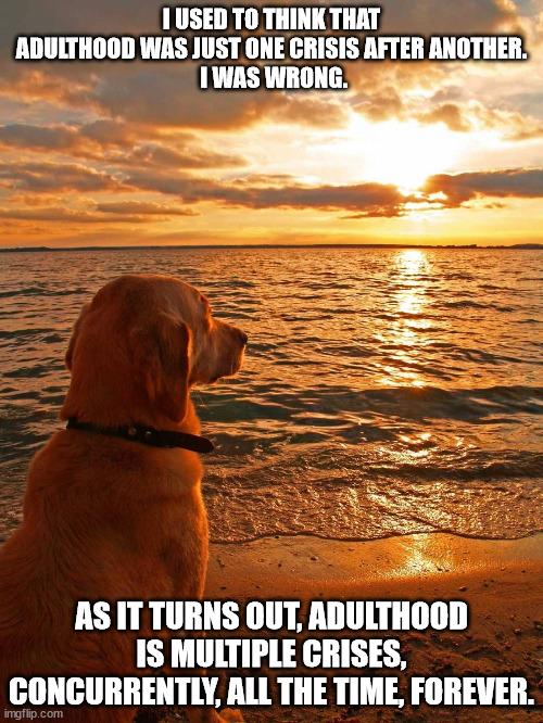 Adulthood | I USED TO THINK THAT ADULTHOOD WAS JUST ONE CRISIS AFTER ANOTHER.
 I WAS WRONG. AS IT TURNS OUT, ADULTHOOD IS MULTIPLE CRISES, CONCURRENTLY, ALL THE TIME, FOREVER. | image tagged in existential dog,adulting,grown up,life,real life | made w/ Imgflip meme maker