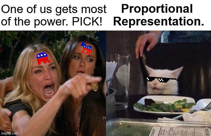 Avoiding the two-party trap | One of us gets most 
of the power. PICK! Proportional 
Representation. | image tagged in memes,woman yelling at cat | made w/ Imgflip meme maker