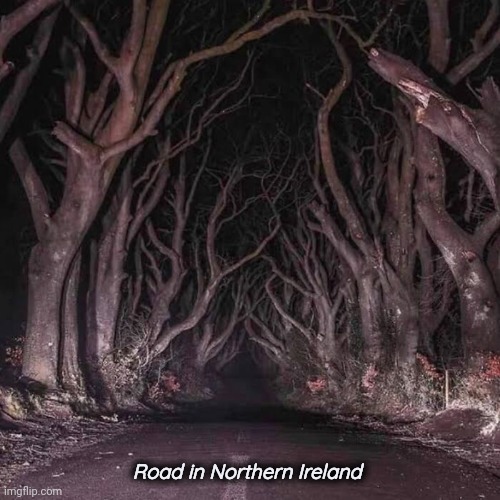 Drive Safely | Road in Northern Ireland | image tagged in forest,when the trees start speaking,i said go back,be careful,ireland | made w/ Imgflip meme maker