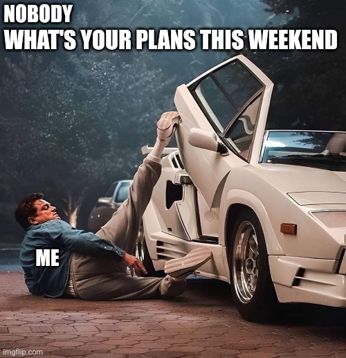 Leo Dicaprio | NOBODY; WHAT'S YOUR PLANS THIS WEEKEND; ME | image tagged in wolf of wall street | made w/ Imgflip meme maker