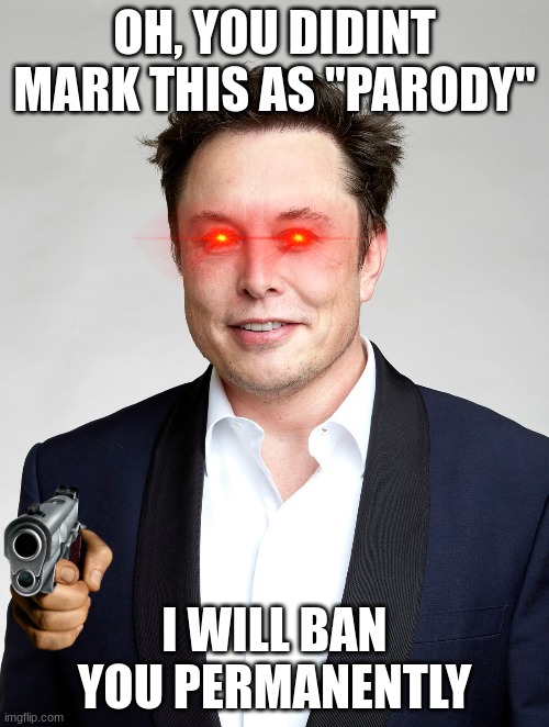 elon mosk | OH, YOU DIDINT MARK THIS AS "PARODY"; I WILL BAN YOU PERMANENTLY | image tagged in elon musk | made w/ Imgflip meme maker