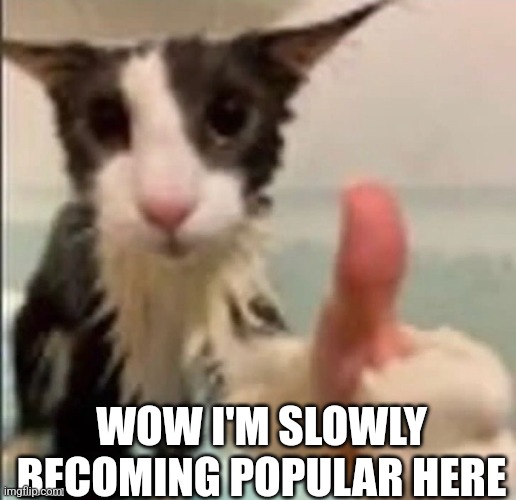 Cat thumbs up | WOW I'M SLOWLY BECOMING POPULAR HERE | image tagged in cat thumbs up | made w/ Imgflip meme maker
