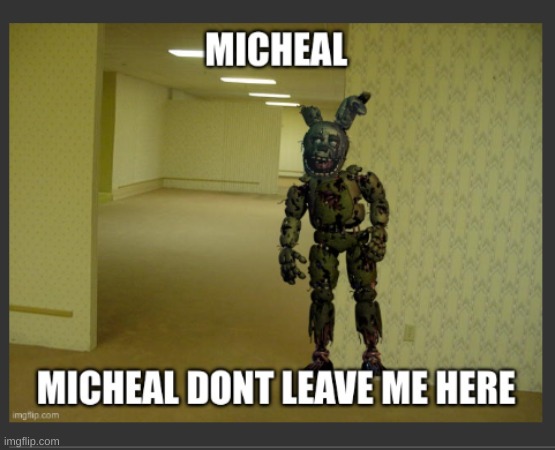 reclaiming my lost memes in my deleted account continued | image tagged in backrooms,the backrooms,fnaf,springtrap | made w/ Imgflip meme maker