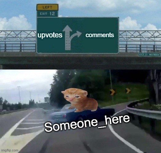 cat is on the car =) | upvotes; comments; Someone_here | image tagged in memes,left exit 12 off ramp | made w/ Imgflip meme maker