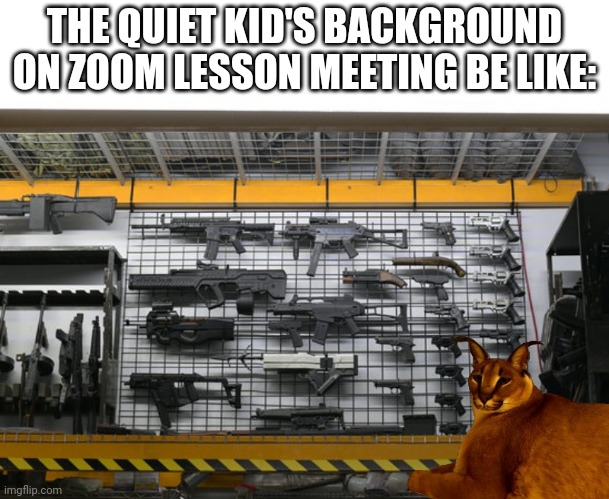 THE QUIET KID'S BACKGROUND ON ZOOM LESSON MEETING BE LIKE: | made w/ Imgflip meme maker