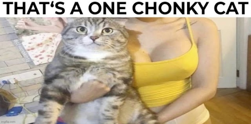 image tagged in funny memes | made w/ Imgflip meme maker