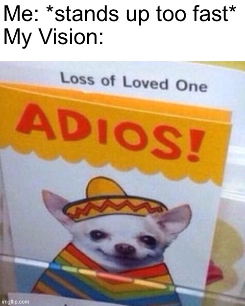 chihuahua adios | Me: *stands up too fast*
My Vision: | image tagged in chihuahua adios,memes,relatable,life,relatable memes,funny | made w/ Imgflip meme maker