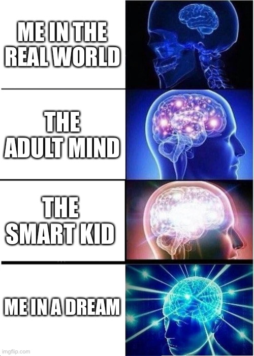 Expanding Brain | ME IN THE REAL WORLD; THE ADULT MIND; THE SMART KID; ME IN A DREAM | image tagged in memes,expanding brain | made w/ Imgflip meme maker