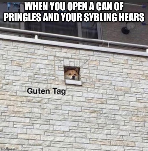Guten tag means hello there in german |  WHEN YOU OPEN A CAN OF PRINGLES AND YOUR SYBLING HEARS | image tagged in i have no idea what i am doing | made w/ Imgflip meme maker