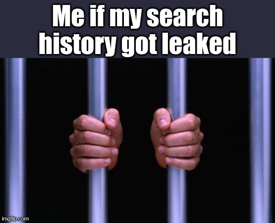 eeeee | Me if my search history got leaked | image tagged in prison bars | made w/ Imgflip meme maker