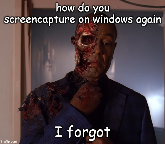 gustavo | how do you screencapture on windows again; I forgot | image tagged in gustavo | made w/ Imgflip meme maker