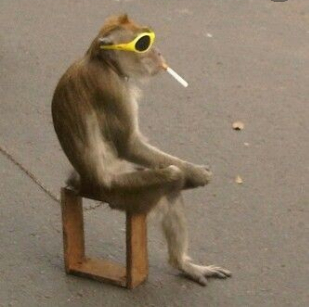 Smoking Monkey Blank Meme Template