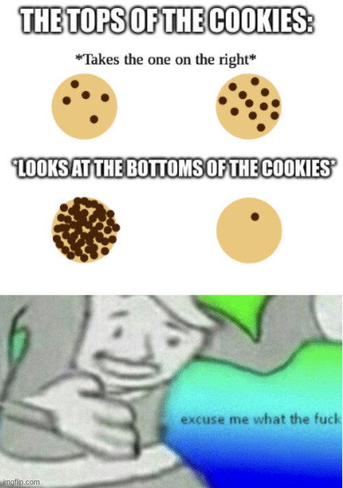 Chocolate Chips | image tagged in excuse me what the f ck,cookies,relatable memes,memes,funny | made w/ Imgflip meme maker