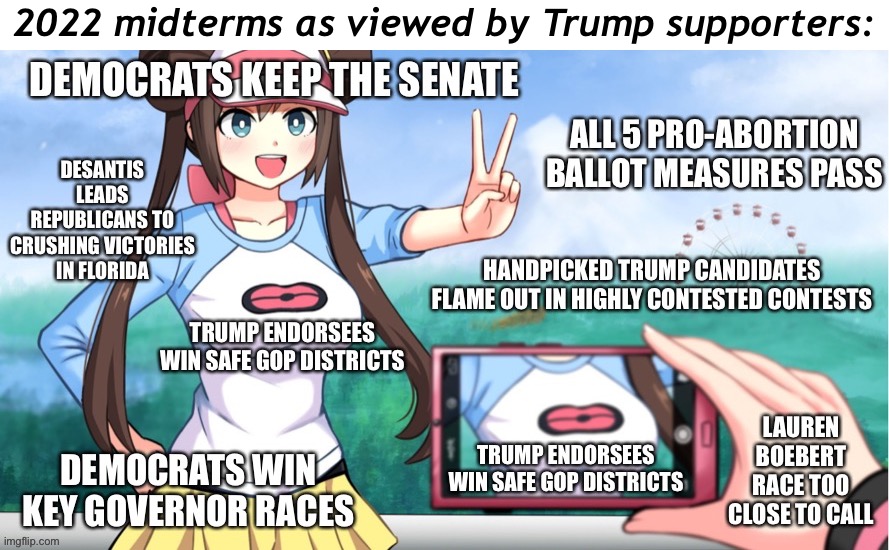How’s that view? | 2022 midterms as viewed by Trump supporters: | image tagged in 2022 midterms from trump supporter perspective,2022,midterms,trump supporters,republican party,trump is a moron | made w/ Imgflip meme maker