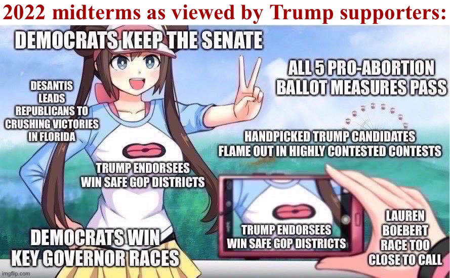 2022 midterms from Trump supporter perspective | 2022 midterms as viewed by Trump supporters: | image tagged in 2022 midterms from trump supporter perspective,trump supporters,2022,midterms,maga,trump is a moron | made w/ Imgflip meme maker